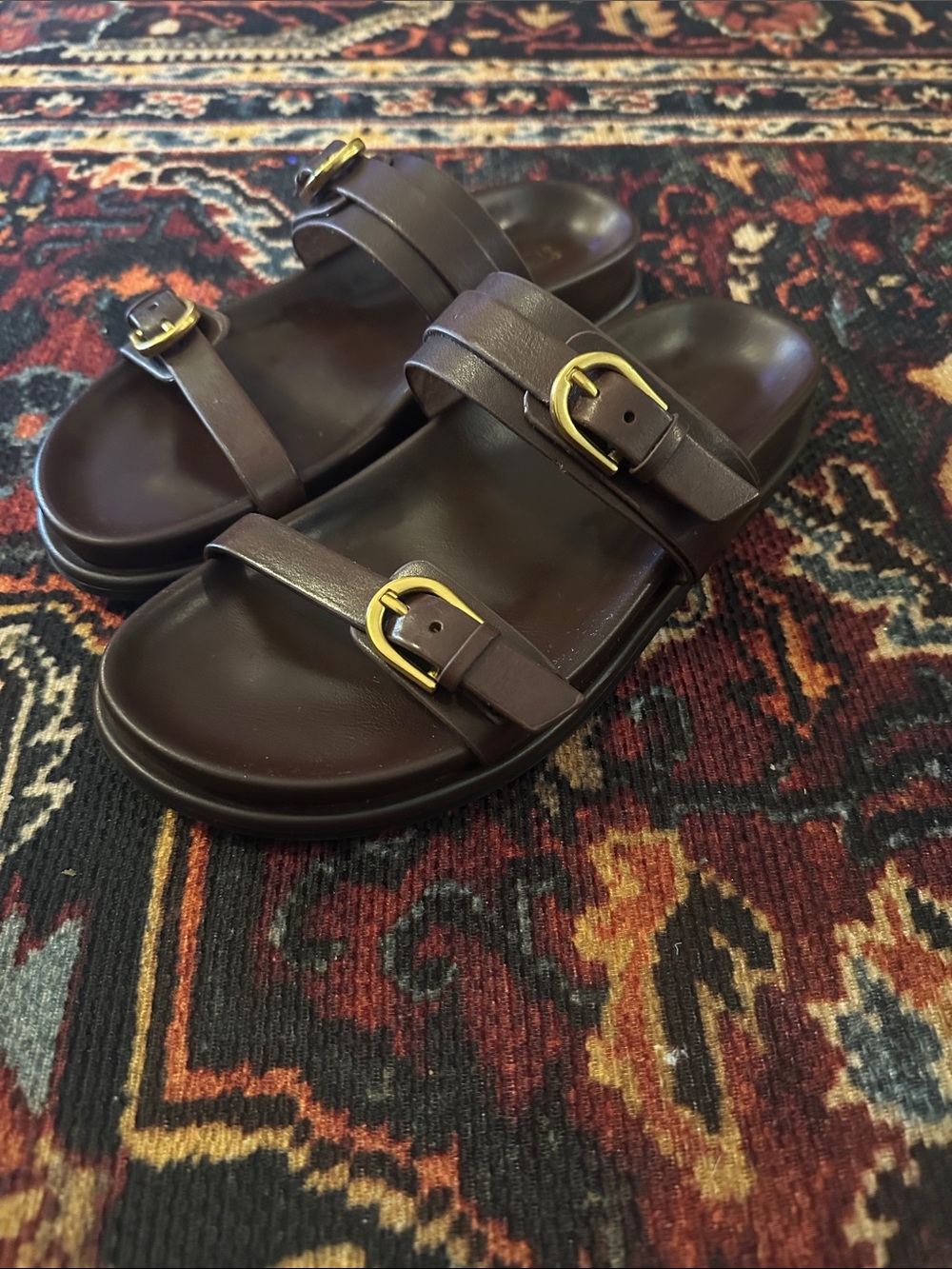 Steve Madden Women's Dark Brown Double-Buckle Slide Sandals with Gold Buckles